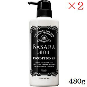 NVG oT {[AbvRfBVi[ 604 480g ×2Zbg