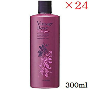 pVtBbNv_Nc i_ Be[W[Y Vv[ 300ml ×24Zbg