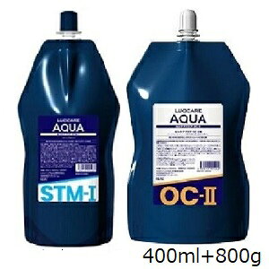 Aw VPA ANA STM-I 400ml + OC-II 800g (򕔊Oi)