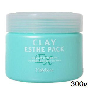 ビーエックス クレイエステ パック EX 300g