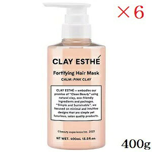 r[GbNX NCGXe tH[eBt@COwA}XN sNNC 400g ×6Zbg