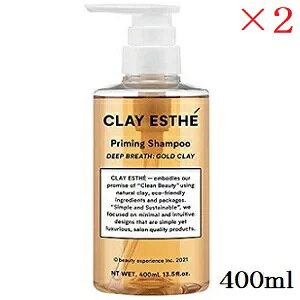 r[GbNX NCGXe vC~OVv[ S[hNC 400ml ×2Zbg