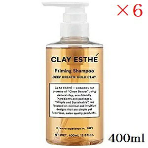 r[GbNX NCGXe vC~OVv[ S[hNC 400ml ×6Zbg