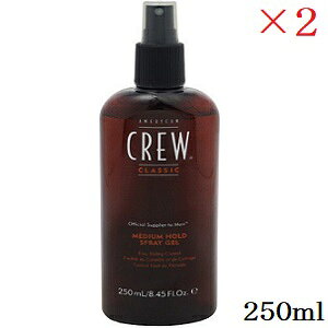 AJN[ ~fBAz[hXv[WF 250ml ×2Zbg