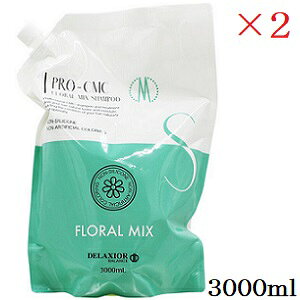 cw fNVI v CMC Vv[ t[ 3000ml tB l֗p ×2Zbg
