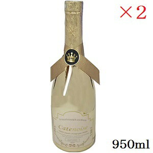 Catenoise Vgm ouoX{fBEHbV 950ml GD XC[gVp̍ ×2Zbg