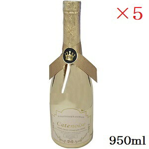 Catenoise Vgm ouoX{fBEHbV 950ml GD XC[gVp̍ ×5Zbg