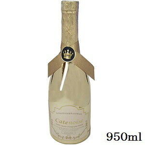 Catenoise Vgm ouoX{fBEHbV 950ml GD XC[gVp̍