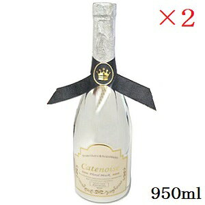 Catenoise Vgm ouoX{fBEHbV 950ml SV t[XN̍ ×2Zbg