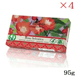 t_ tOX\[v 95g UCN Ch[Y ×4Zbg