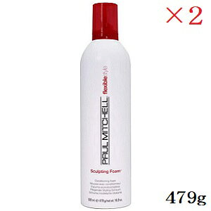 �|�[���~�b�`�F�� �X�J���v�e�B���O �t�H�[�� 479g �N���[�~�[�R�R�i�b�c�̍��� ×2�Z�b�g