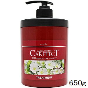 iv PAeNg HB yAg[gg 650g