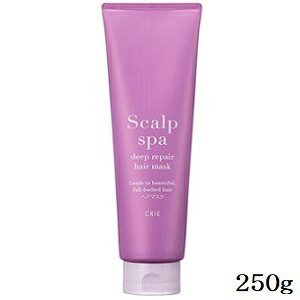 R[Z[ NG XJv Xp fB[vyAwA}XN 250g