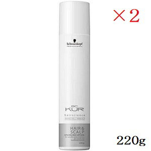 VcRt BC NA wAXLv pуXp[NO [V 220g ×2Zbg (򕔊Oi)