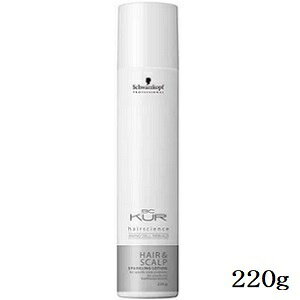 VcRt BC NA wA+XLv pуXp[NO [V 220g (򕔊Oi)