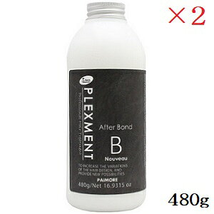 pCA vbNXg At^[{h Bk[H[ 480g ×2Zbg