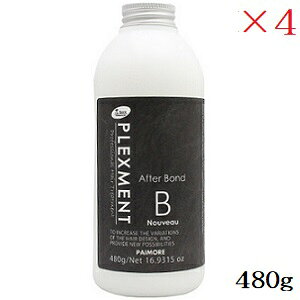 pCA vbNXg At^[{h Bk[H[ 480g ×4Zbg