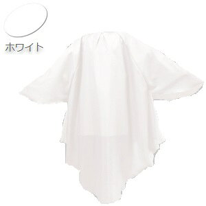 JgA \u[탏ChX[uz No.4013 zCg