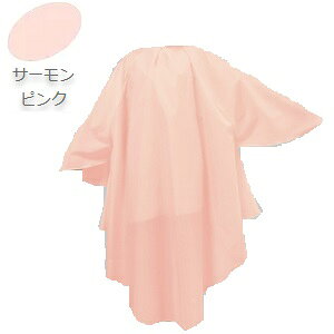 JgAGJbg ChX[uz No.4313 T[sN