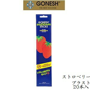 �K�[�l�b�V�� GONESH incense 20 sticks OUTDOOR STRAWBERRY BLAST