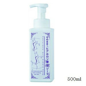 ̂܂ qA_A\[v 500ml