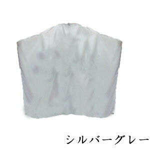 GNZ pXeJ[ JbeBONX [}WbN] No.3001 Vo[O[