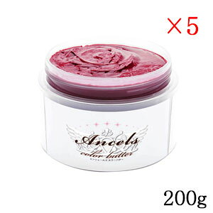 GVF[Y J[g[ggo^[ 200g `F[sN ×5Zbg