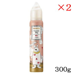 f~ EF[{ WJ[ LCN zCbv 3 300g ×2Zbg