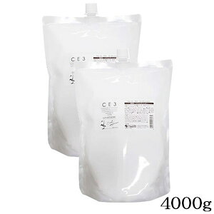 ~A CE3 RfBVi[ 4000g tB l֗p