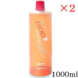 Tj[vCX pUN[y 1000ml ×2Zbg