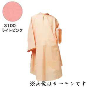 RE VVbNJ[hX No.3100 CgsN