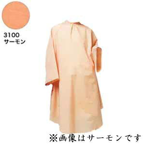 RE VVbNJ[hX No.3100 T[