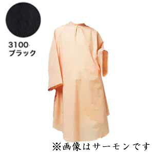 RE VVbNJ[hX No.3100 ubN