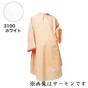 RE VVbNJ[hX No.3100 zCg