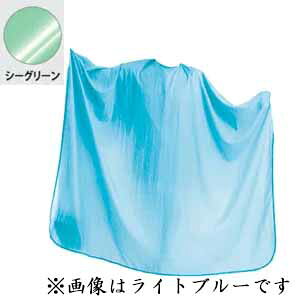 RE VVbN j[rbNz No.5510 V[O[