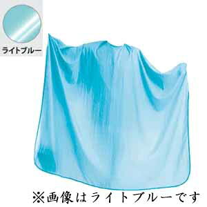 RE VVbN j[rbNz No.5510 Cgu[