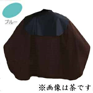 JgA Vv[NX No.1355 u[