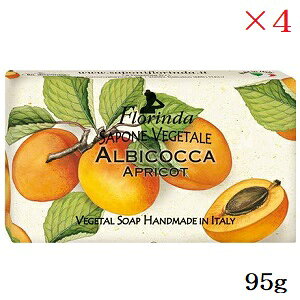 t_ tOX\[v 95g AvRbg ×4Zbg