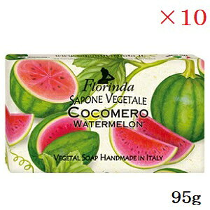 t_ tOX\[v 95g EH[^[ ×10Zbg