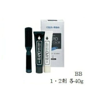 pI sbhwAJ[ 1E2 e40g BB ubN (wAJ[//Tꔄi)