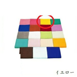 �X�Y���� 220��J���[�^�I�� �C�G���[