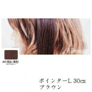 ���[�x �G�N�X�e���V���� �|�C���^�[ L 30cm �u���E��
