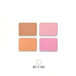 ZtB[k BP VN`[NJ[ BP-C100