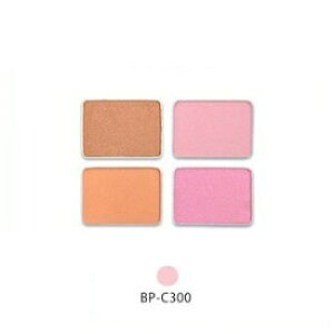 ZtB[k BP VN`[NJ[ BP-C300