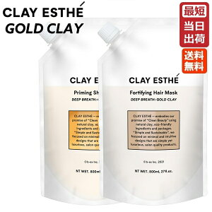 NCGXe vC~O Vv[ & tH[eBt@CO g[gg S[hNC 800mL+800g lߑւ tB Zbg CLAYESTHE GOLD CLAY ьPA PA L h~ [ g