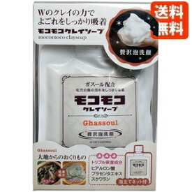 【モコモコクレイソープ】もこもこクレイソープ 100g 泡立てネット付 送料無料 [洗顔石鹸/半生石鹸/クレイ/人気/通販 どろあわわ （ どろ豆乳石鹸 ）をご利用の方も是非お試しください]