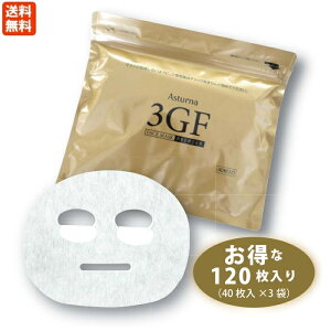 AX^[i 3GF tFCX}XN v~A 120i40×3܁j{  EGF IGF FGF z