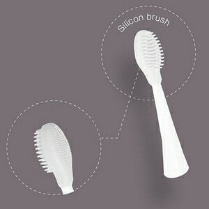 �y�|�X�g�����z���E�Y �I�[�����~�i�X �V���R���u���V �P�i ���������yORALUMINAUS�z�y3�z