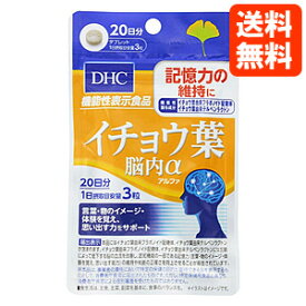 【ネコポス便送料無料】DHC サプリメント イチョウ葉 脳内α（アルファ） 20日分