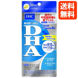 【ネコポス便送料無料】DHC サプリメント DHA 20日分
